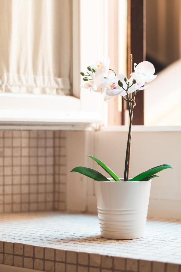 Triton Place Rome Luaran gambar